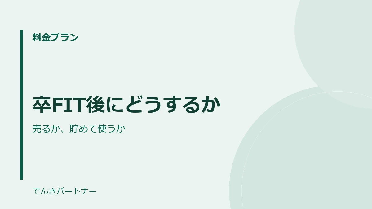 卒FIT後にどうするかの解説記事の表紙